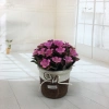 Mini artificial bonsai flowers, small potted plants, factory direct sales of artificial flower plants Specification image